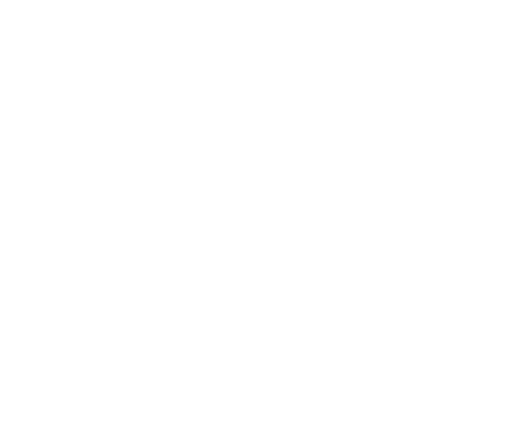 Amys 1